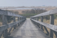 f4cad9985fd2e606eea187356aeb2c70.jpg
