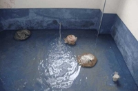 卫生间防水 八奎爱心维修
