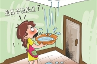 八奎防水维修卫生间