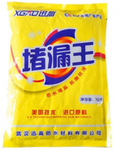 迅高堵漏王