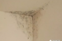 遇到漏水了该怎么办