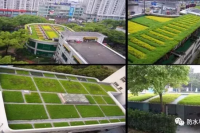 种植屋面防水