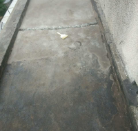 1538834330425