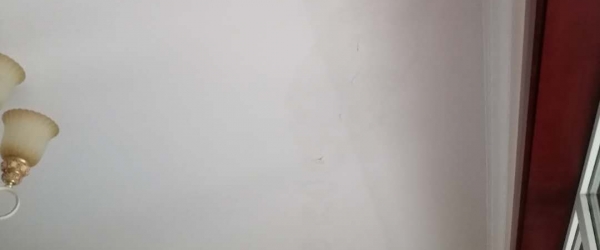 微信图片