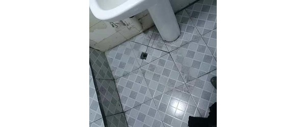 微信图片_20191023211832