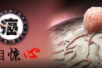 不漏水的房子