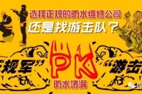 正规军与游击队