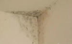 墙面起霉