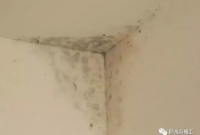 墙面起霉