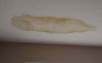 漏水