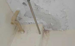 发霉