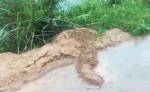 批注