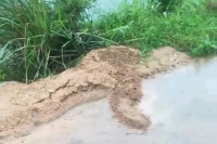 批注
