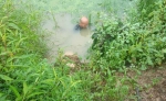 陈秋民