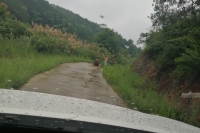 陈艳兵