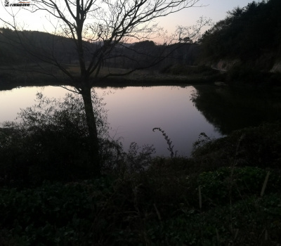 金家冲堰塘