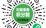 村级事务积分制