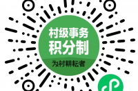 村级事务积分制