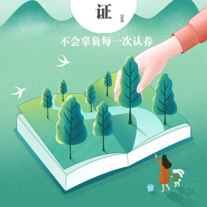 领
