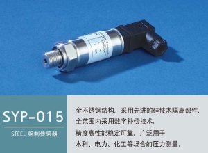 鋼制-數(shù)字補(bǔ)償-壓力傳感器