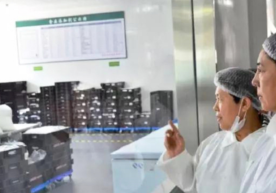 山东省食药系统考察组一行莅临家家悦考察调研5