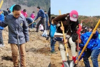 planting weihai (1)