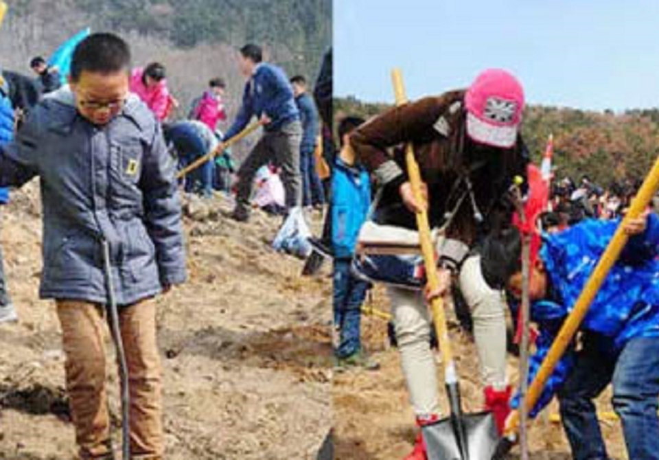 planting weihai (1)