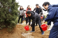 九龙城植树节活动2