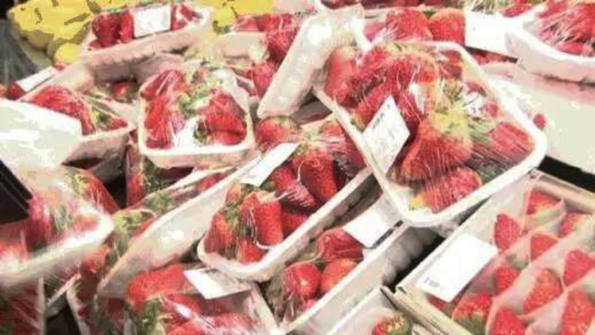 山西康宁店升级1