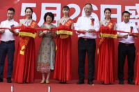 196316093b1f6bc15d7ab6620254d72b