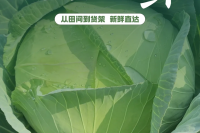 微信图片_2025-06-16_104440_689