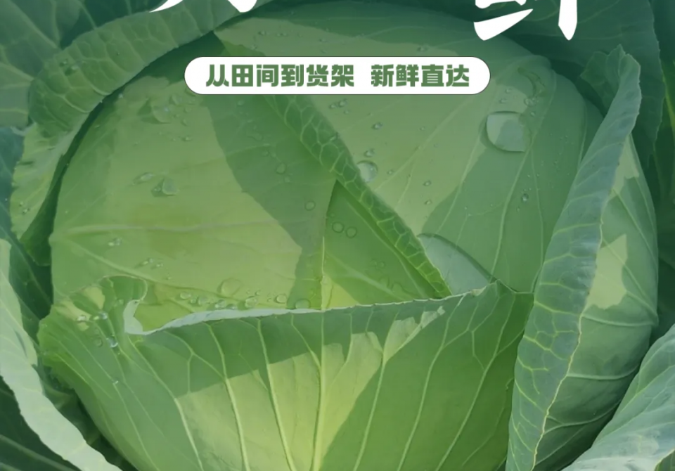 微信图片_2025-06-16_104440_689