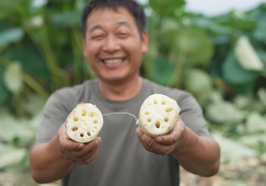 1a3ee7d50e446d80311ce709677bfc23