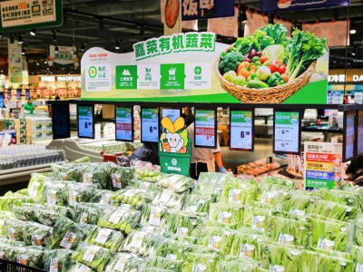 2L5A9993-opq4196281343