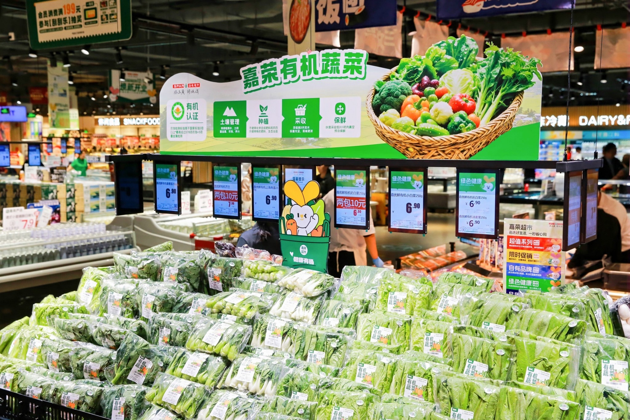 2L5A9993-opq4196281343