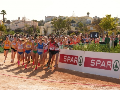 PG 1 bottom right and PH top image