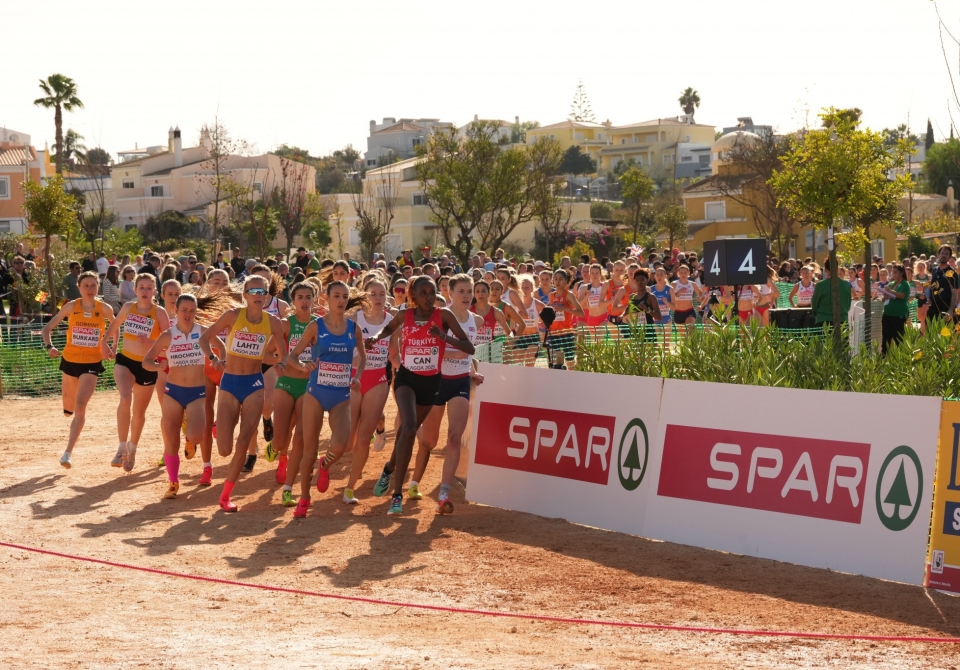 PG 1 bottom right and PH top image