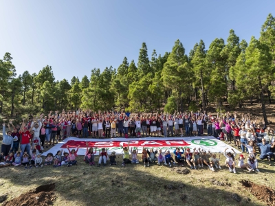 PG 2 bottom + PDF and PH