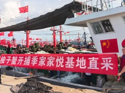 家家悦直采