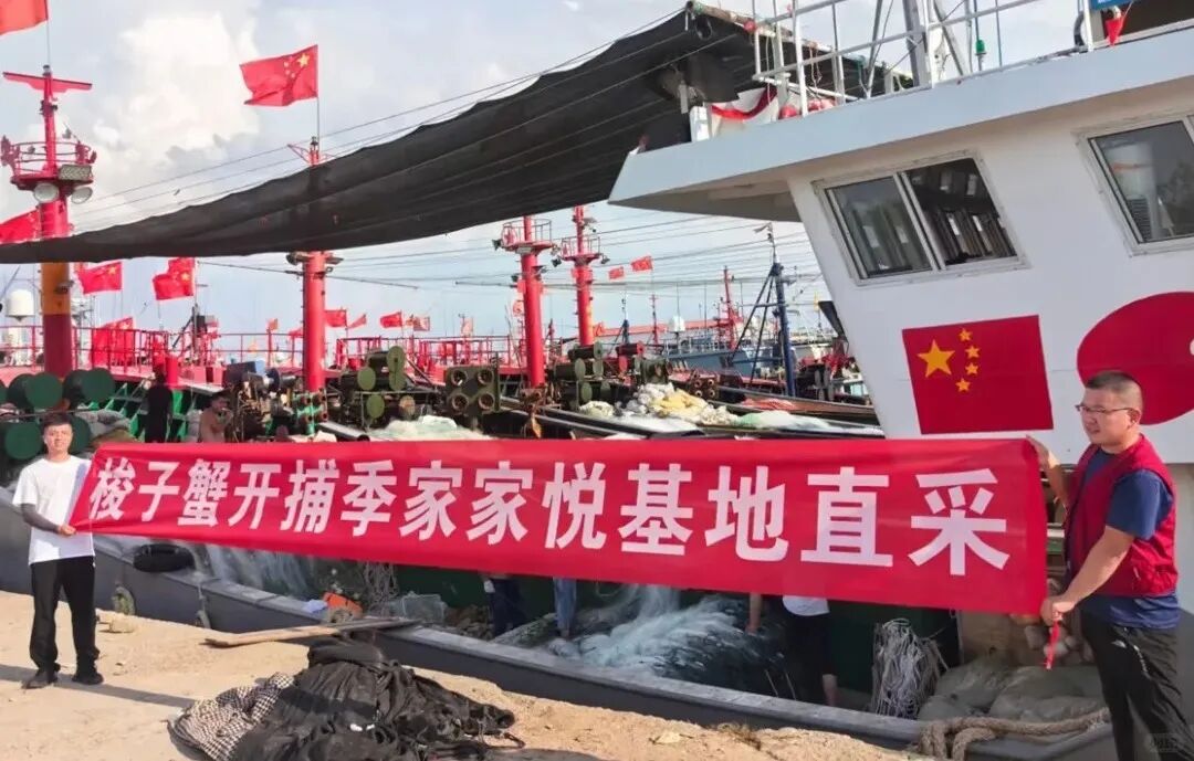 家家悦直采
