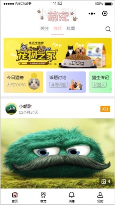 萌宠科普资讯社区类小程序模板