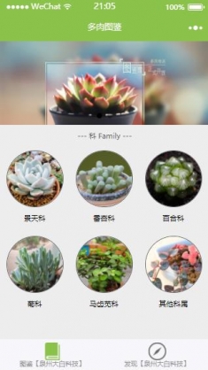 多肉图鉴小程序模板