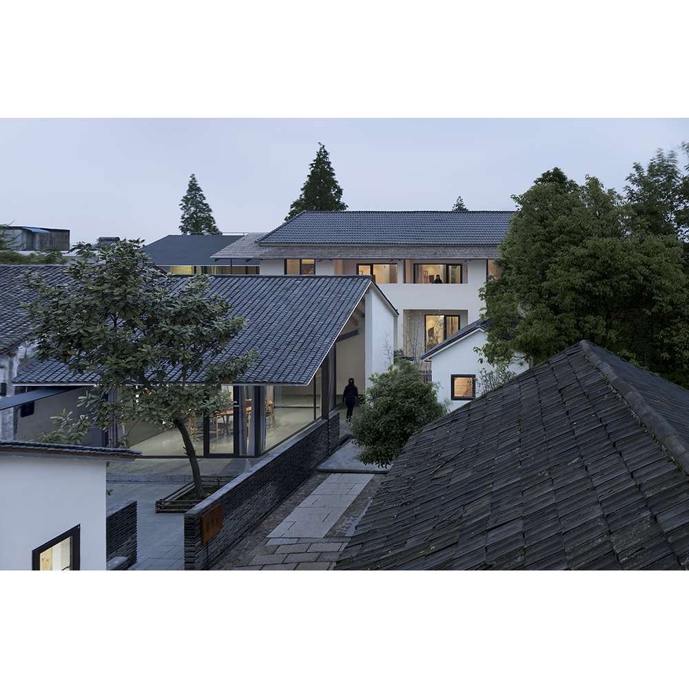 1053YSC_01