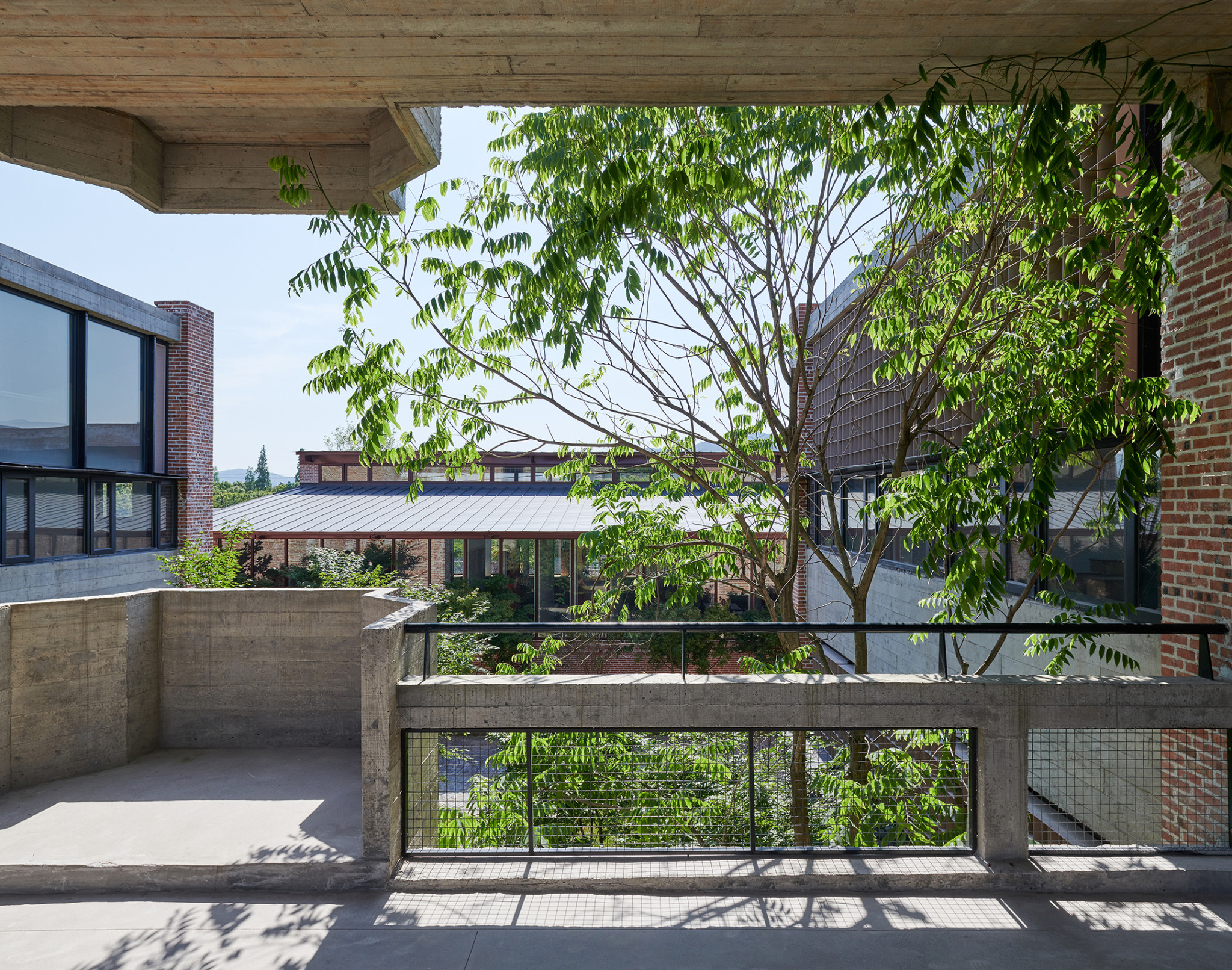 位于教学楼二层的连廊©陈颢_Corridor on the second floor of the classroom units ©Chen Hao