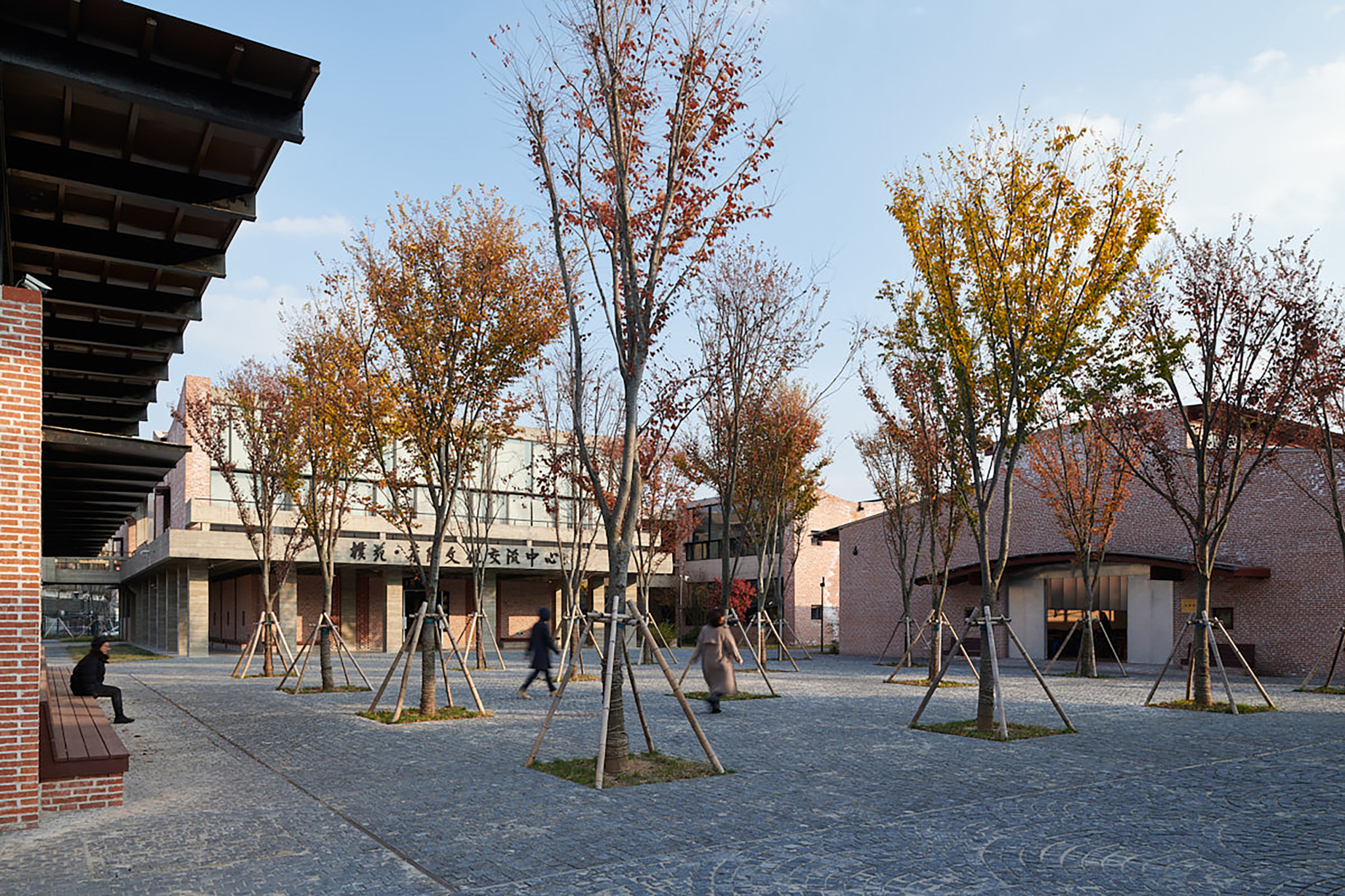位于校园中心的榉树广场©陈颢_Zelkova tree square at the center of the campus ©Chen Hao