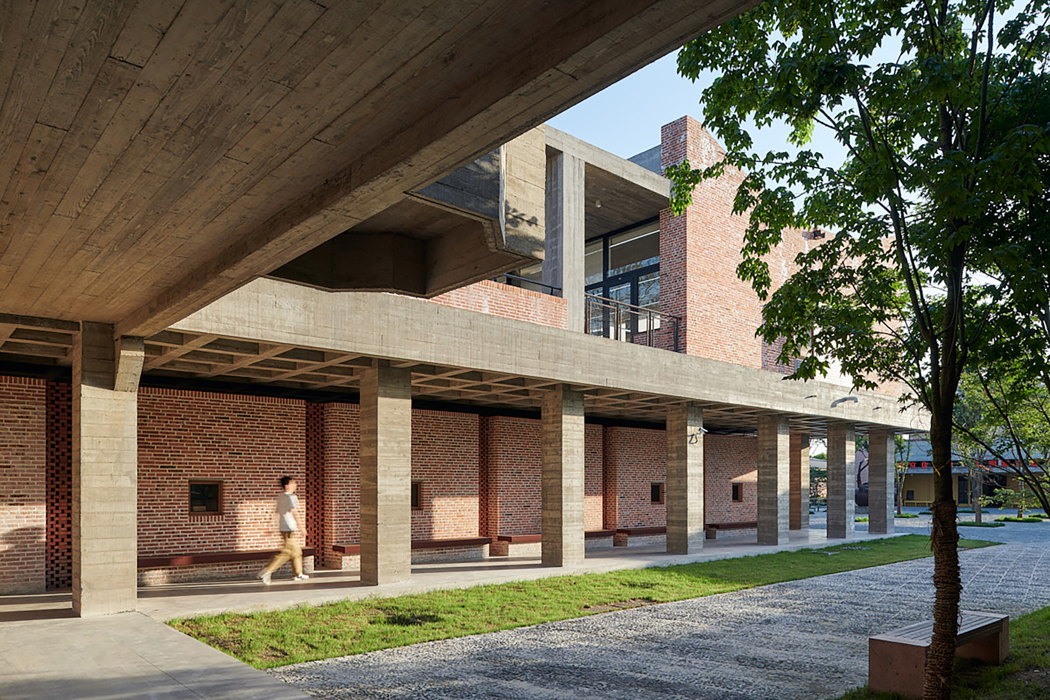 展陈厅的侧廊朝向中央的榉树广场©陈颢_The side porch along the exhibition building towards the central Zelkova tree square ©Chen Hao