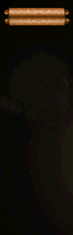 行-45s-YS1111