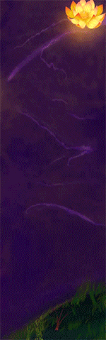 GIF_上海-YS-1