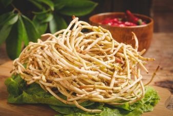 摄图网_501278765_banner_新鲜鱼腥草（企业商用） (1)
