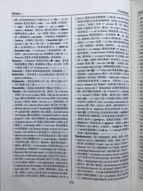 世界语汉语大词典3